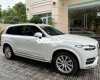 Volvo XC90 Xe - màu trắng 2019 - Xe Volvo- màu trắng