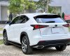 Lexus NX 300 2019 - GIÁ 1 tỷ 790 tr