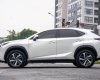 Lexus NX 300 2019 - Hỗ trợ vay tối đa 70% xe