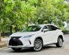 Lexus RX 300 2020 - 1 chủ mua mới từ đầu