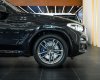 BMW X3 2019 - Màu đen nội thất kem