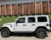 Jeep Wrangler Cần bán   Rubicon 4 cửa - Màu Trắng 2020 - Cần bán Jeep Wrangler Rubicon 4 cửa - Màu Trắng