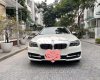 BMW 520i Bán xe  f10 520i sx2013, đklđ 2014 2013 - Bán xe BMW f10 520i sx2013, đklđ 2014