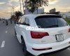 Audi Q7   tphcm 2007 - audi q7 tphcm