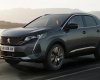 Peugeot 3008 2023 - SHOWROOM PEUGEOT Phú Nhuận hỗ trợ, đồng hành cùng KH - Lái thử, xem xe, tư vấn chốt