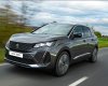 Peugeot 3008 2023 - SHOWROOM PEUGEOT Phú Nhuận hỗ trợ, đồng hành cùng KH - Lái thử, xem xe, tư vấn chốt