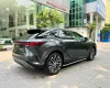 Lexus RX 350 Premium AWD 2022 - Bán Lexus RX 350 Premium AWD đăng ký lần đầu 2023, màu xám, nhập khẩu nguyên chiếc