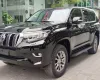 Toyota Land Cruiser Prado VX 2.7L 2019 - Cần bán lại xe Toyota Land Cruiser Prado VX 2.7L đời 2019, màu đen, nhập khẩu chính hãng