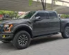 Ford F 150 Raptor 2019 - Bán Xe Ford F 150 Raptor sản xuất 2019, màu xám, nhập khẩu nguyên chiếc