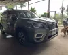 Hãng khác Khác 2022 -  BÁN XE SUBARU FORESTER 2.0i – NHẬP KHẨU 