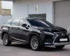 Lexus RX 300 2019 - Cần bán xe Lexus RX 300 đời 2019, màu đen, nhập khẩu