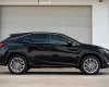 Lexus RX 300 2019 - Cần bán xe Lexus RX 300 đời 2019, màu đen, nhập khẩu