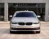 BMW 530i Sport Line 2019 - Cần bán BMW 530i Sport Line năm 2019, màu vàng, nhập khẩu