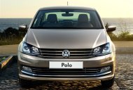 Volkswagen Polo G 2016 - Cần bán xe Volkswagen Polo G đời 2016, màu nâu, nhập khẩu nguyên chiếc, giá chỉ 699 triệu giá 699 triệu tại Cần Thơ