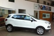 Ford EcoSport 2016 - Ford EcoSport Titanium 2016, màu trắng giá 590 triệu tại Kon Tum