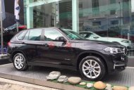 BMW X5 2016 - Bán ô tô BMW X5 2016, màu nâu, nhập khẩu nguyên chiếc giá 3 tỷ 648 tr tại Tp.HCM
