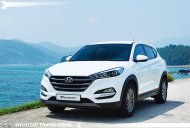 Hyundai Tucson 2016 - Bán Hyundai đời 2016, màu trắng, nhập khẩu nguyên chiếc giá 996 triệu tại Gia Lai