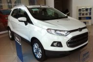 Ford EcoSport Titatium 2016 - Bán ô tô Ford EcoSport Titatium đời 2017, mầu trắng, LH 0933523838 giá 658 triệu tại Tp.HCM