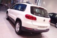 Volkswagen Tiguan 2016 - Cần bán xe Volkswagen Tiguan 2.0l đời 2016, màu trắng, nhập khẩu chính hãng giá 1 tỷ 499 tr tại BR-Vũng Tàu