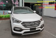 Hyundai Santa Fe 4WD 2016 - Bán Hyundai Santa Fe đời 2017, màu trắng giá 1 tỷ 100 tr tại Đà Nẵng