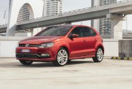 Volkswagen Polo E 2016 - Cần bán xe Volkswagen Polo E đời 2016, màu đỏ, xe nhập giá 739 triệu tại An Giang
