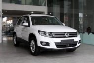 Volkswagen Tiguan 2015 - Bán xe Volkswagen Tiguan sản xuất 2015, màu trắng, nhập khẩu giá 1 tỷ 450 tr tại Đà Nẵng