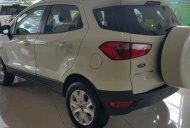 Ford EcoSport Titatium 2016 - Cần bán xe Ford EcoSport Titatium 2016, màu trắng, giá tốt giá 658 triệu tại Tp.HCM