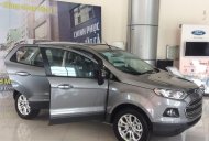 Ford EcoSport Titanium 2017 - Đại lý xe Ford: Bán Ford EcoSport Titanium sản xuất 2017, màu xám (ghi), L/H: 0963483132 giá 620 triệu tại Thái Bình