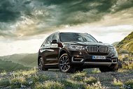 BMW X5 xDrive 50i  2016 - Cần bán xe BMW X5 xDrive 50i 2016, màu đen, nhập khẩu nguyên chiếc giá 4 tỷ 988 tr tại Tp.HCM