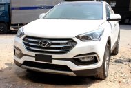 Hyundai Santa Fe 2016 - Ninh Thuận: Bán Hyundai Santa Fe full 2016_ Gía tốt nhất. LH 01202787691 giá 1 tỷ 80 tr tại Ninh Thuận