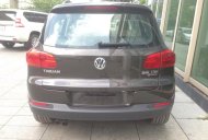 Volkswagen Tiguan 2016 - Bán xe Volkswagen Tiguan sản xuất 2016, màu nâu, nhập khẩu, lh: 0978877754-0931416628 giá 33 triệu tại Đồng Nai