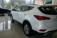 Hyundai Santa Fe 2016 - Cần bán Hyundai Santa Fe đời 2016, màu trắng giá 1 tỷ 130 tr tại An Giang
