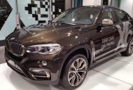 BMW X6 2016 - Cần bán xe BMW X6 đời 2017, màu nâu, nhập khẩu chính hãng tại miền Trung giá 3 tỷ 698 tr tại Đà Nẵng