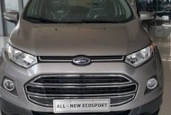 Ford EcoSport Titatium 2016 - Cần bán Ford EcoSport Titatium đời 2016, màu xám giá cạnh tranh giá 625 triệu tại Tp.HCM