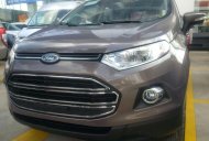 Ford EcoSport 2016 - Bán ô tô Ford EcoSport sản xuất 2016, màu xám giá 620 triệu tại Tiền Giang