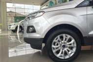 Ford EcoSport Titatium   2016 - Bán xe Ford EcoSport Titatium năm 2016, màu bạc  giá 625 triệu tại Tp.HCM