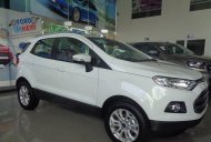 Ford EcoSport AT 2016 - Bán ô tô Ford EcoSport AT đời 2016, màu trắng giá 615 triệu tại An Giang