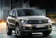 Volkswagen Tiguan 2015 - Bán Volkswagen Tiguan SUV đẳng cấp, lịch lãm, cuốn hút mọi ánh nhìn, giao toàn quốc giá 1 tỷ 499 tr tại Tp.HCM