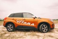 Suzuki Vitara 2016 - Cần bán Suzuki Vitara đời 2016, nhập khẩu chính hãng giá 750 triệu tại Khánh Hòa