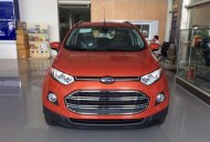 Ford EcoSport 2016 - Bán ô tô Ford EcoSport sản xuất 2016, giá 620tr giá 620 triệu tại Phú Yên