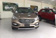 Hyundai Santa Fe 2017 - [Khánh Hòa] bán Hyundai Santa Fe full 2017, giảm ngay 60triệu, LH 01202787691 giá 1 tỷ 50 tr tại Khánh Hòa