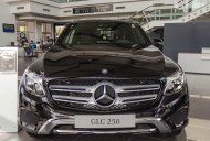 Mercedes-Benz GLC GLC 250 2016 - Bán xe Mercedes GLC 250 đời 2016, màu đen, hỗ trợ vay 80% giá trị xe giá 1 tỷ 789 tr tại Gia Lai