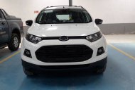 Ford EcoSport   2016 - Cần bán xe Ford EcoSport đời 2016, màu trắng, xe mới giá 570 triệu tại Gia Lai
