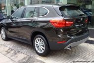 BMW X1 2016 - Cần bán xe BMW X1 đời 2016, màu nâu, nhập khẩu chính hãng giá 1 tỷ 600 tr tại Quảng Ngãi