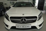 Mercedes-Benz GLA-Class GLA45 AMG 2016 - Bán xe Mercedes GLA45 AMG 2016, màu trắng, nhập khẩu, giao ngay, giá giảm cực tốt giá 2 tỷ 279 tr tại Phú Yên