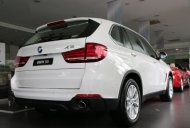 BMW X5 xDrive35i 2016 - Bán xe BMW X5 xDrive35i đời 2016, màu trắng, nhập khẩu giá 3 tỷ 600 tr tại Tp.HCM