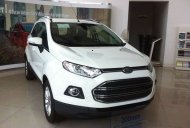 Ford EcoSport 2016 - EcoSport đời 2016, màu trắng giá cạnh tranh giá 595 triệu tại Yên Bái