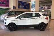 Ford EcoSport 2016 - Bán ô tô Ford EcoSport Blackedition đời 2016 giá 605tr tặng kèm gói bảo dưỡng SSP trong vòng 1 năm giá 605 triệu tại Thái Bình