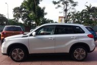 Suzuki Vitara   2016 - Bán ô tô Suzuki Vitara năm 2016, màu trắng, xe nhập, 730tr giá 730 triệu tại Thái Bình