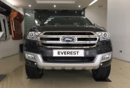 Ford Everest Titanium 2.2L AT    2017 - Bán xe Ford Everest Titanium 2.2L AT đời 2017 - xám, hỗ trợ trả góp ngân hàng 80% lãi suất 0.6%/tháng giá 1 tỷ 265 tr tại Hà Nam